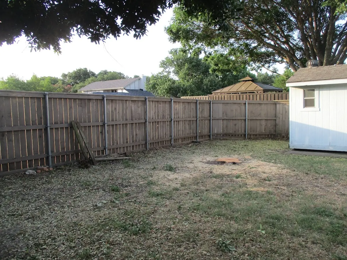 Cleared yard after professional tree removal in Clear Lake