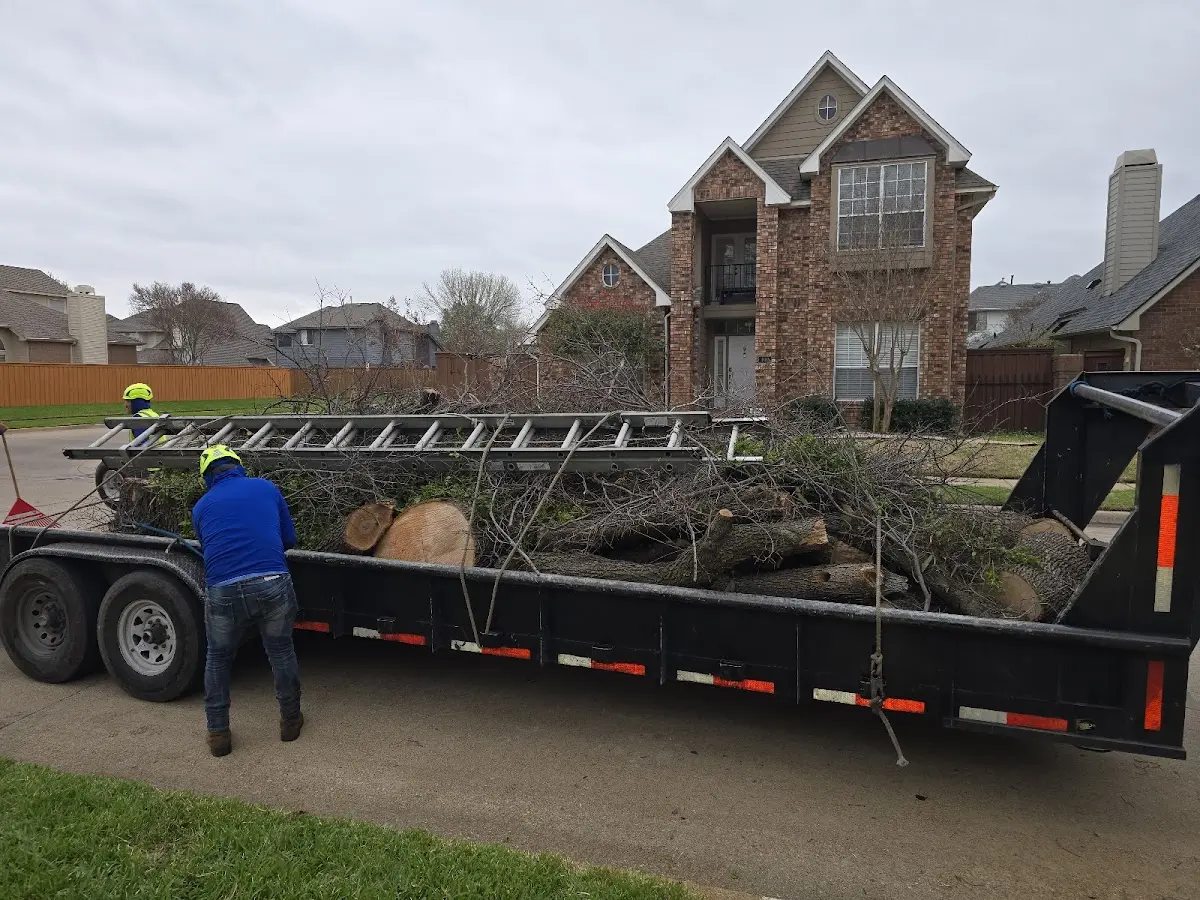 Expert Crown Reduction with proper safety equipment in Clear Lake